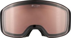 Alpina Arris D skibrille sort