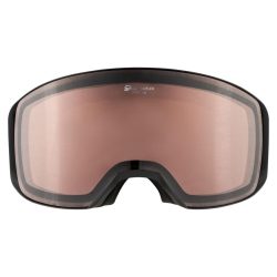 Alpina Arris D skibrille sort