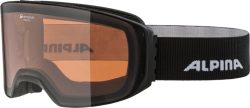 Alpina Arris D skibrille sort